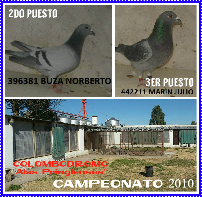 palomas10camp